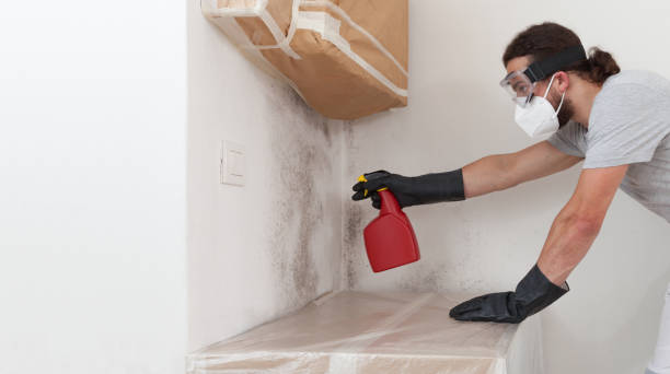 Professional Crawl Space Mold Removal technician working in Union City, PA