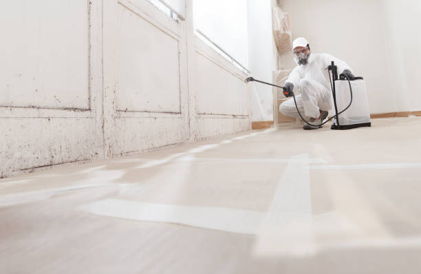 24/7 Emergency Crawl Space Mold Removal experts in Union City, PA