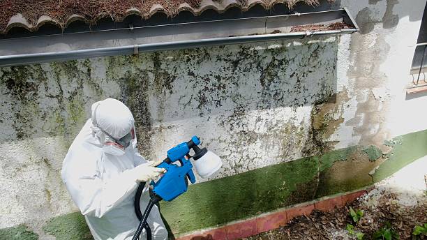 Trusted Mold Testing service in Union City, PA - Cheap Mold Removal